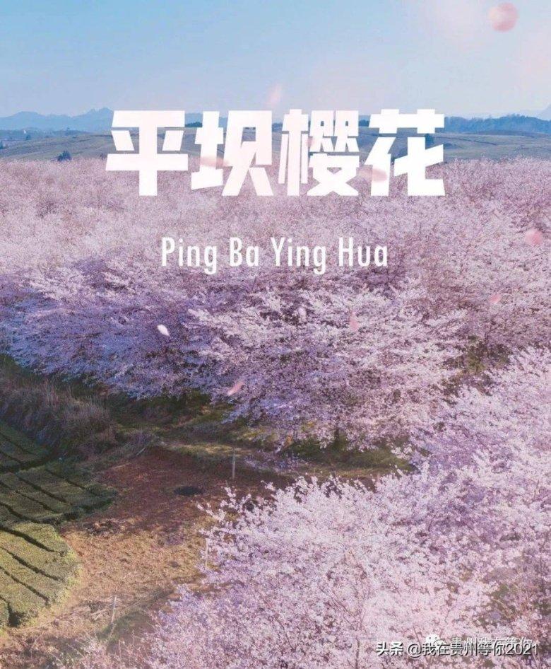 穿越迷宫
